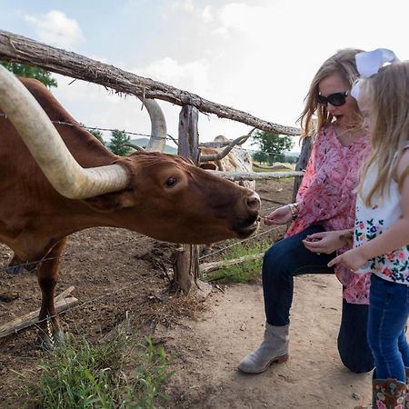 Wildcatter Ranch And Resort Graham Bagian luar foto