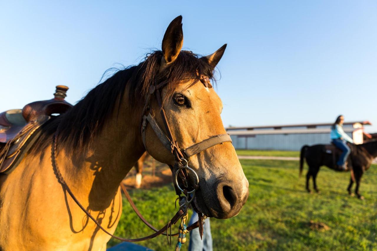 Wildcatter Ranch And Resort Graham Bagian luar foto