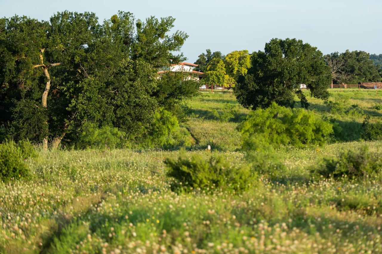 Wildcatter Ranch And Resort Graham Bagian luar foto