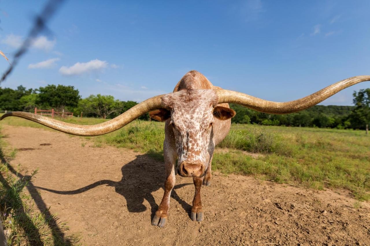 Wildcatter Ranch And Resort Graham Bagian luar foto